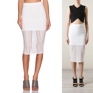 Alexander Wang Skirt